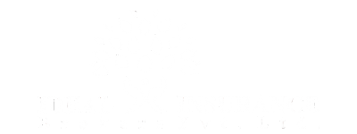 Ideal Insurance Brokers Private Limited logo